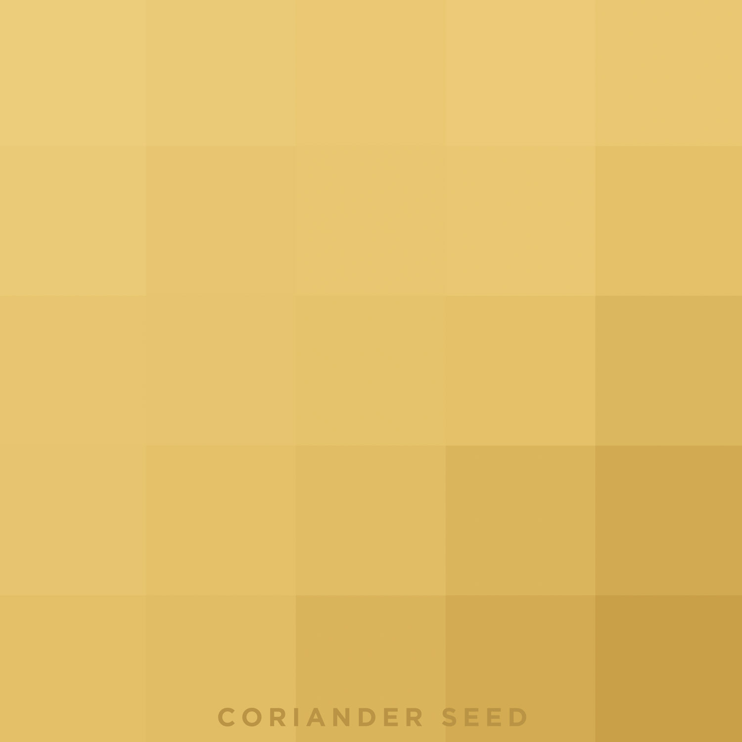 coriander-seed